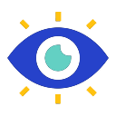 Vision